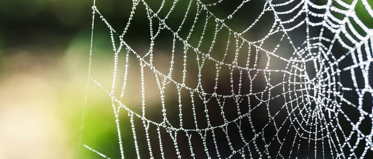 SharePoint and the Microsoft Graph | Part 1