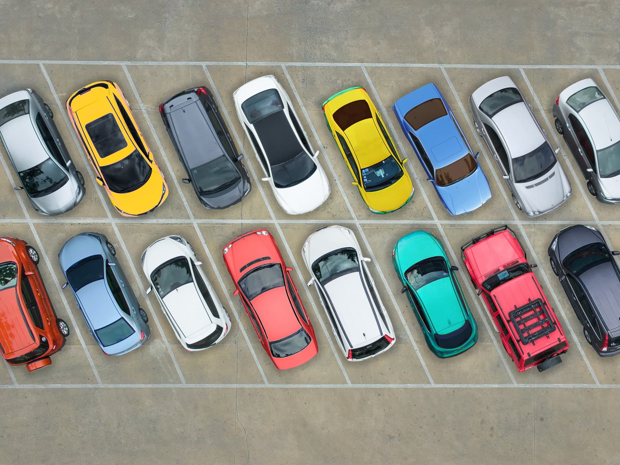 Custom Application Improves Retailer&#8217;s Shopping Experience
