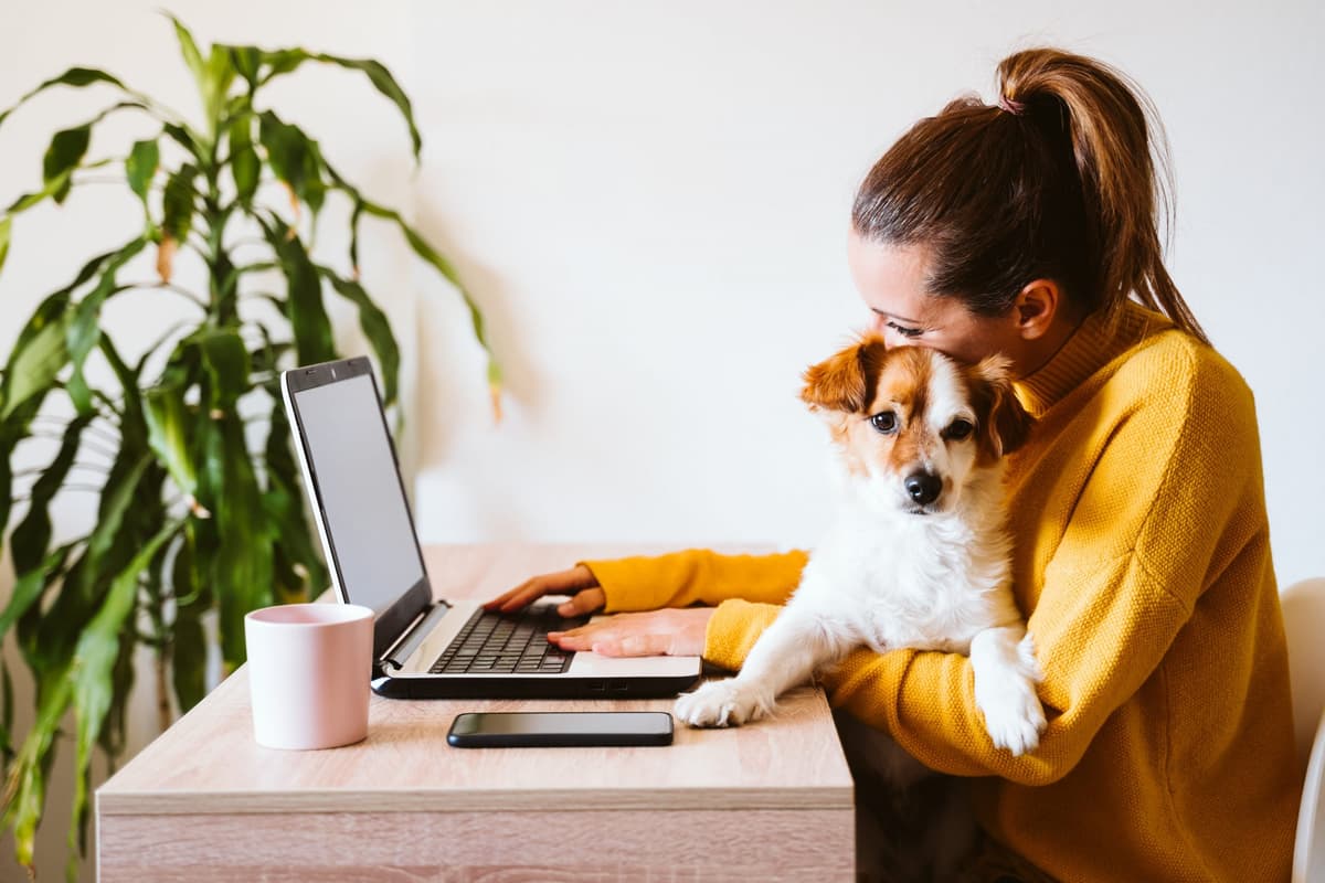 A Day in the Life of Page Schmidt, Senior Consultant