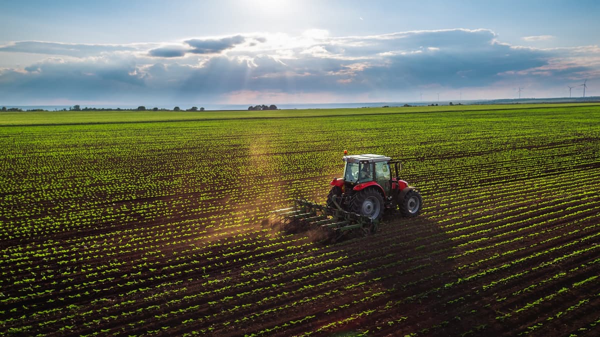 Tractor Supply Company Hackathon: Product Recommendations